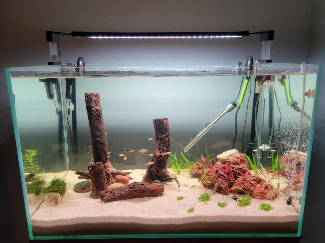 Aquaneat LED Light Riser, Attractive Stable Elevated Stand, Quality LED ...