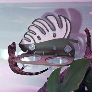 May include: A gecko perches near a decorative leaf-shaped feeding station. The station has two clear bowls and is attached to the enclosure with suction cups. The leaf is green and white.