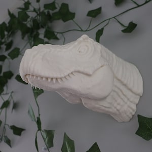 Dinosaure à accrocher au mur • Décoration d'intérieur T-Rex Jurassic • Cadeau d'accessoire imprimé en 3D