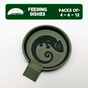Chameleon Isopods Feeding Dish Pack, Cute Lizard Insect Food Bowl, Bioactive Bug Supplies