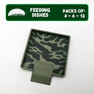 Camo Square Isopods Feeding Dish Pack, Army Design Insect Food Bowl, Bioactive Bug Supplies