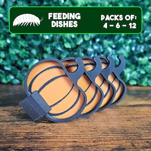 Pumpkin Isopods Feeding Dish Pack, Fall Themed Insect Food Bowl, Bioactive Bug Supplies