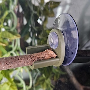 Suporte de galhos para terrário | Pacote com 2 suportes para gravetos | Decoração para recinto de répteis e anfíbios