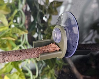 Branch Support for Terrarium | Pack of 2 Stick Holder | Reptile and Amphibian Enclosure Decor