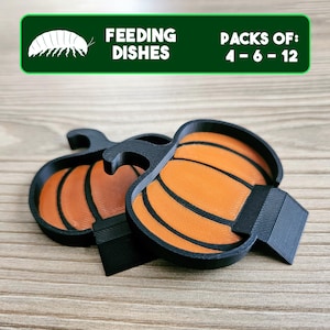 Pumpkin Isopods Feeding Dish Pack, Fall Themed Insect Food Bowl, Bioactive Bug Supplies