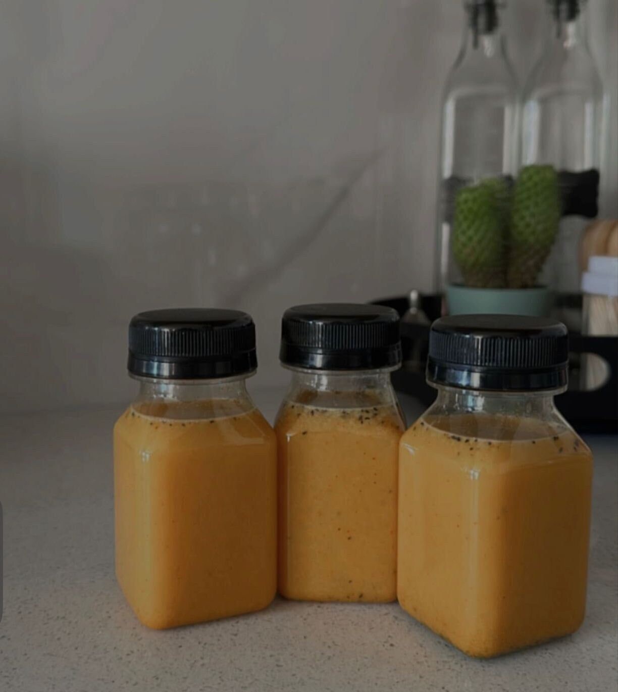 Ginger Shots Metabolism Booster Etsy