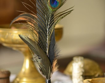 May include: A gold bell with a black ribbon and a pentagram charm, topped with a collection of feathers including a peacock feather with a blue and green eye.