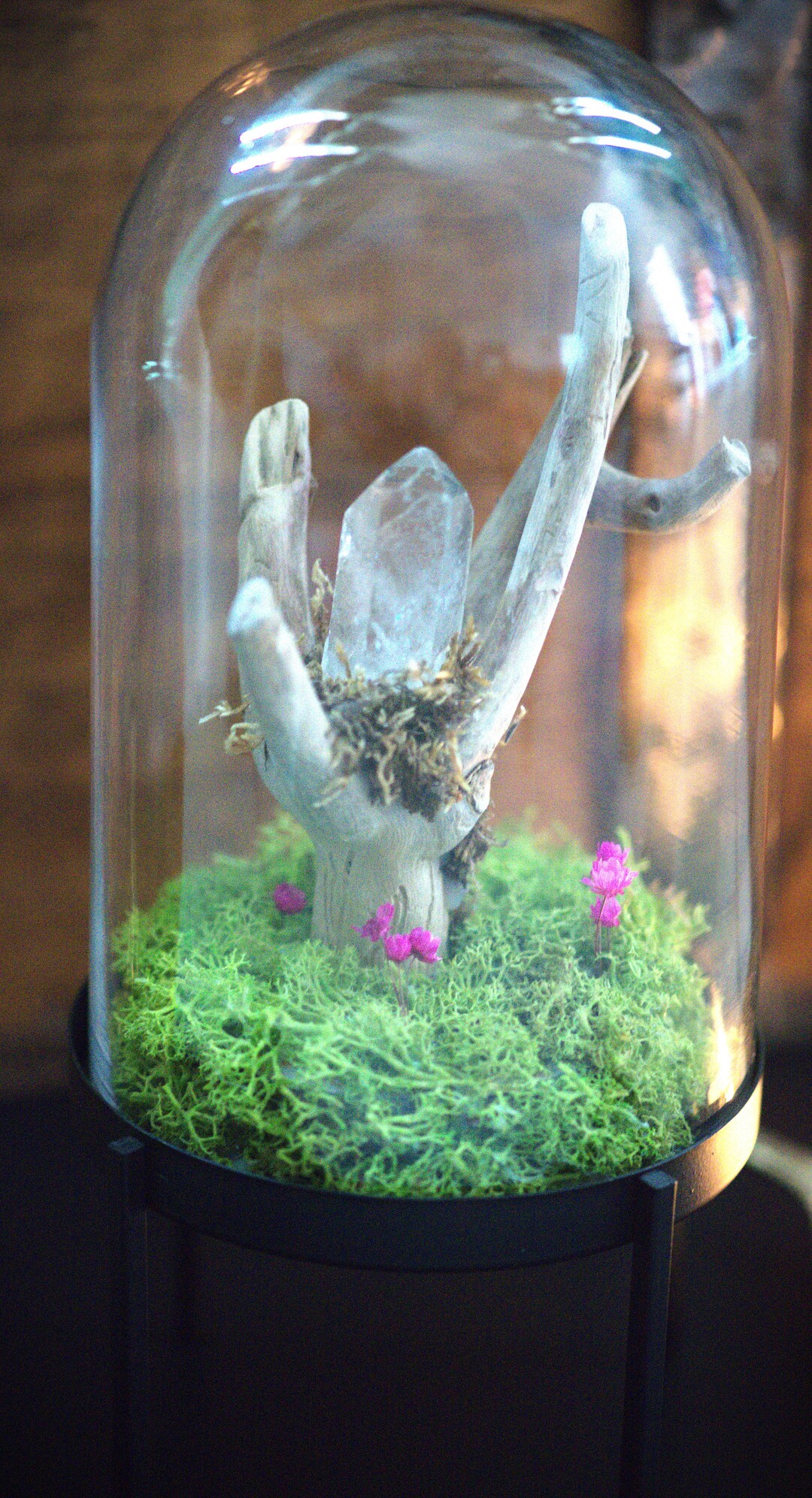 Cloche curiosités déco ésotérique cristal de roche Etsy France