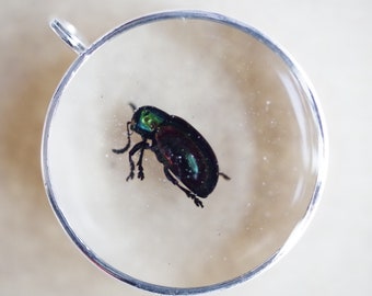 Beetle Pendant, Bug Necklace, Iridescent Entomology Necklace, Insect Jewellery, Antique Insect, Entomologist Gift, Nature Gift