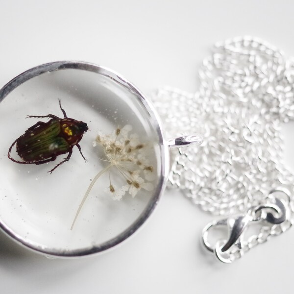 Chafer Beetle Necklace, Flower Chafer Beetle Necklace, Insect Jewellery, Antique Insect, Entomologist Gift INSECTA 011