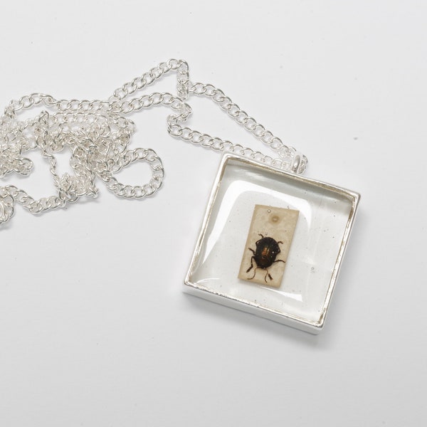 Beetle Necklace, Square Silver Pendant, Insect Jewellery, Statement Necklace, Antique Insect, Entomologist Collection INSECTA 052