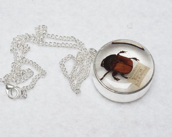 Beetle Pendant, Entomology Necklace, Beetle Necklace, Insect Jewellery, Antique Insect, Entomologist Gift, Bug Jewelry