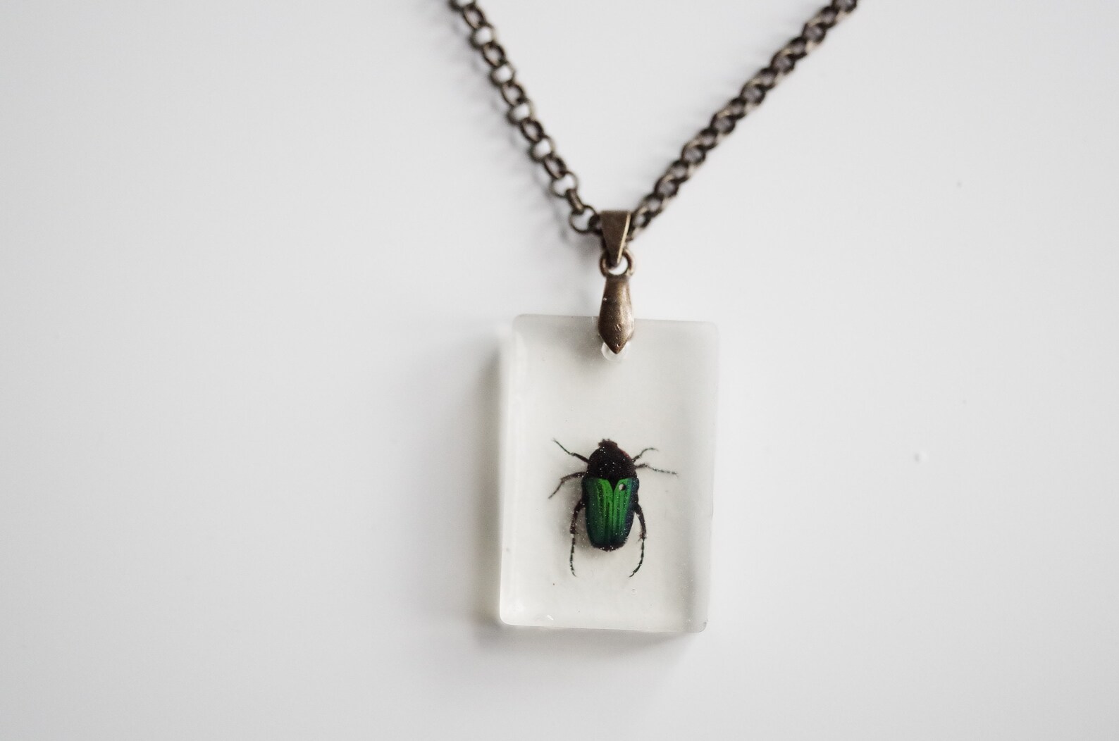 Unique Collectible Beetle Necklace Iridescent Beetle Antique Etsy