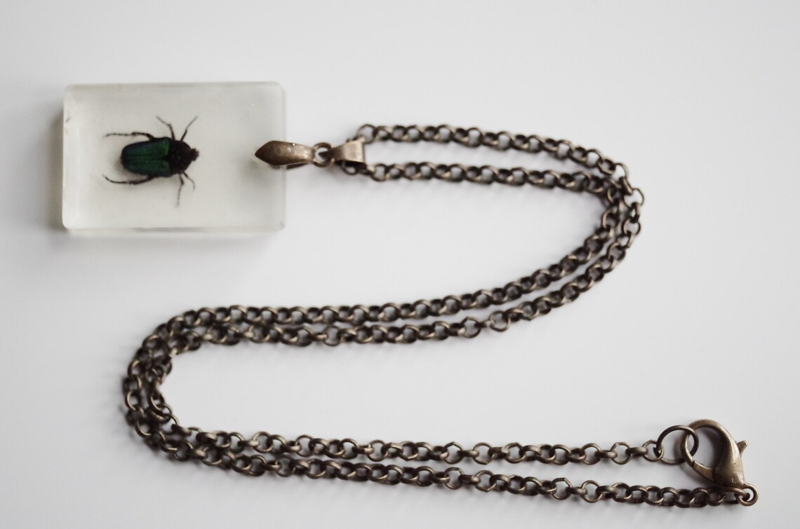 Unique Collectible Beetle Necklace Iridescent Beetle Antique Etsy