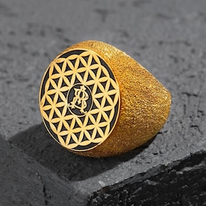 Anillo personalizado monograma de plata, anillo hecho a mano personalizado, anillo de hombre de plata hecho a mano, anillo de letra de duograma, regalo para él anillo de ley 925k
