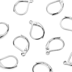 20 Pcs Small Hypoallergenic 304 Surgical Steel Leverback Silver Hooks With Loops (10 Pairs)