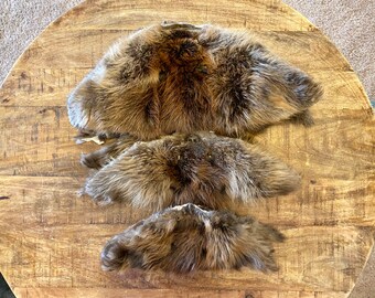 LOT of tanned BEAVER  scrap pieces fur pelt skin FLY TYING smaller native craft 