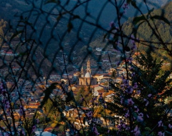 Forestalling Fence