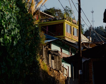 Adorned Alley