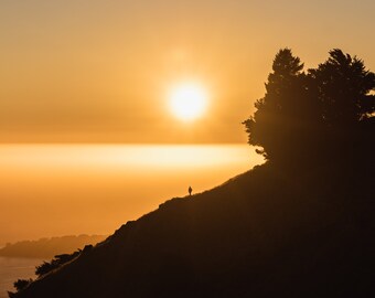 Sunset Silhouette