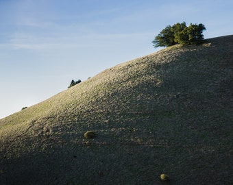 Colline primaverili