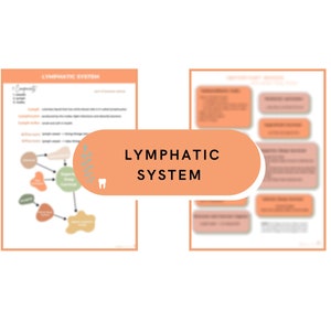 Dental Hygiene Lymphatic System Review Sheet- Digital Download