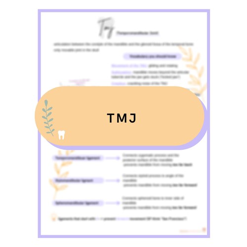 Dental Hygiene Anatomy Bundle Study Guide Digital Download Etsy