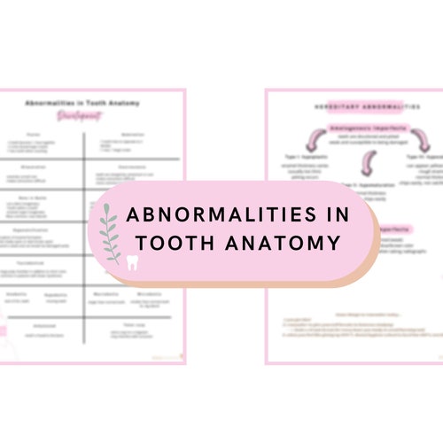 Dental Hygiene Anatomy Bundle Study Guide Digital Download Etsy