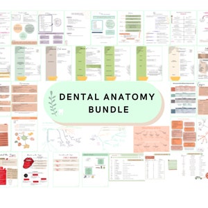 Guía de estudio del paquete de anatomía de higiene dental - Descarga digital
