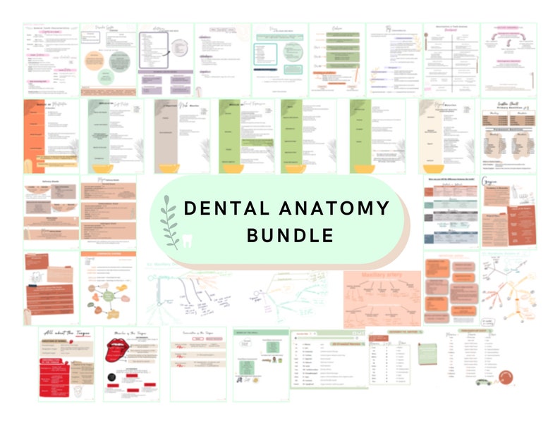 Dental Hygiene Anatomy Bundle Study Guide Digital Download Etsy