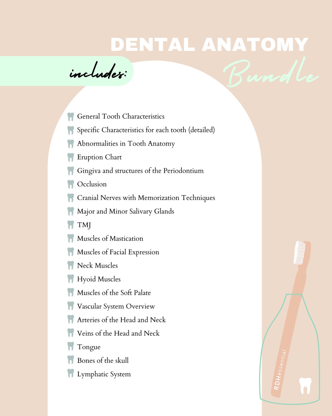Dental Hygiene Anatomy Bundle Study Guide Digital Download Etsy