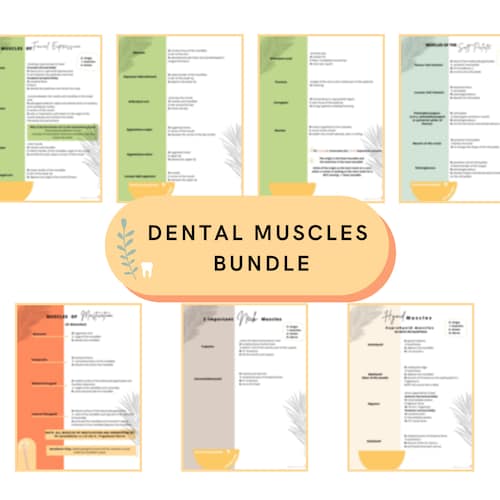 Dental Hygiene Anatomy Bundle Study Guide Digital Download Etsy
