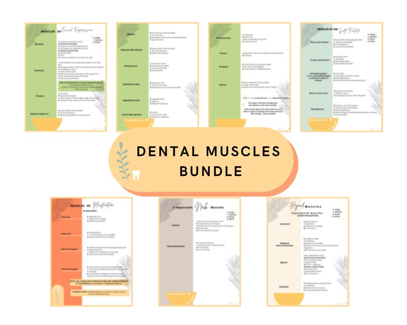 Dental Hygiene Muscles Bundle Study Guide - Digital Download - Etsy