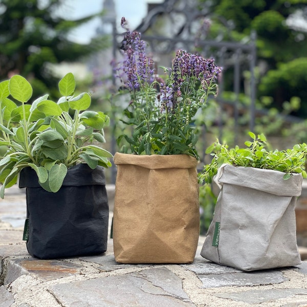 Herb pot - set of 3 - kraft paper - pot - herbs - paper - planter - alternative - balcony - terrace - environmentally friendly - kitchen