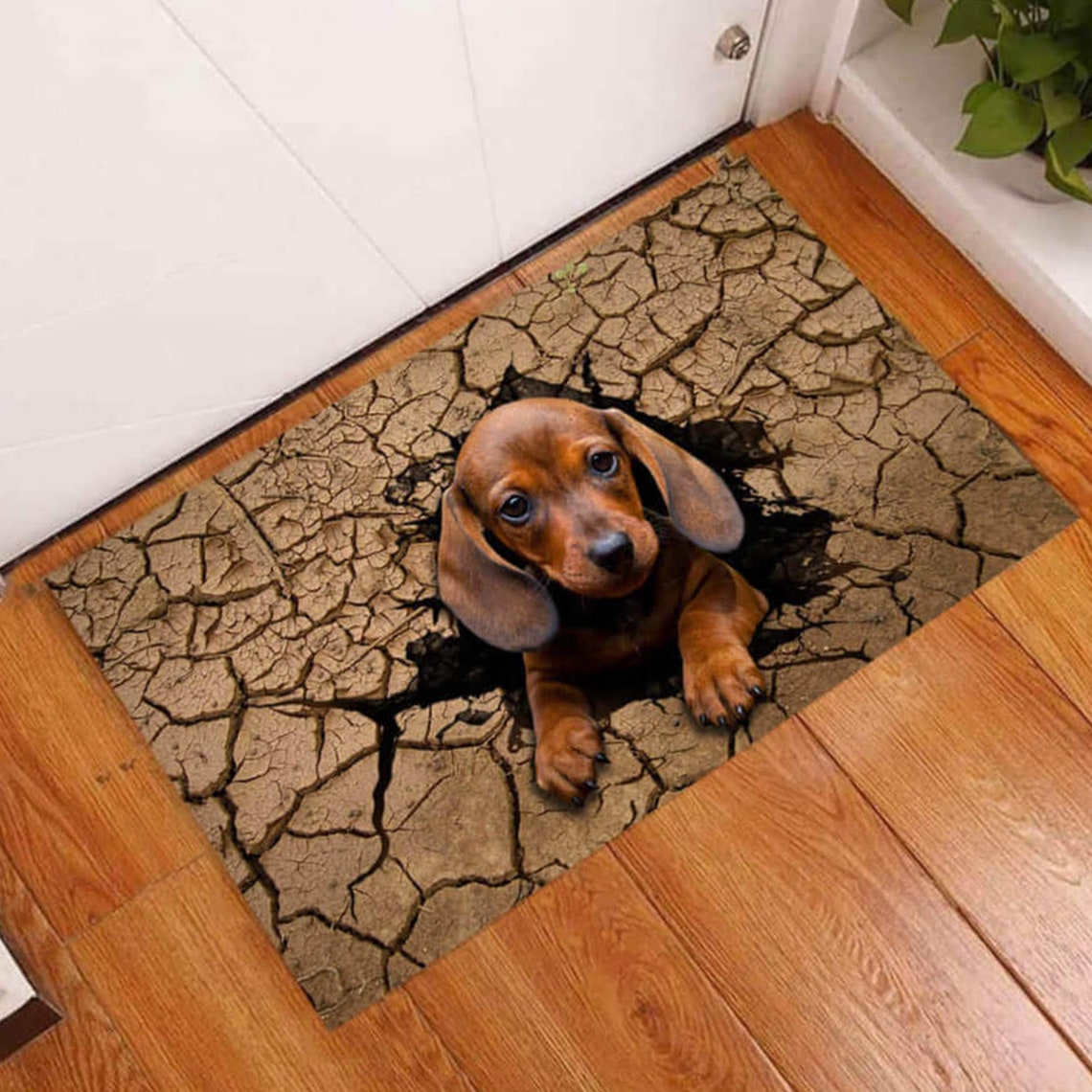 Dachshund Doormat Dachshund Doormat Dachshund Lover Etsy
