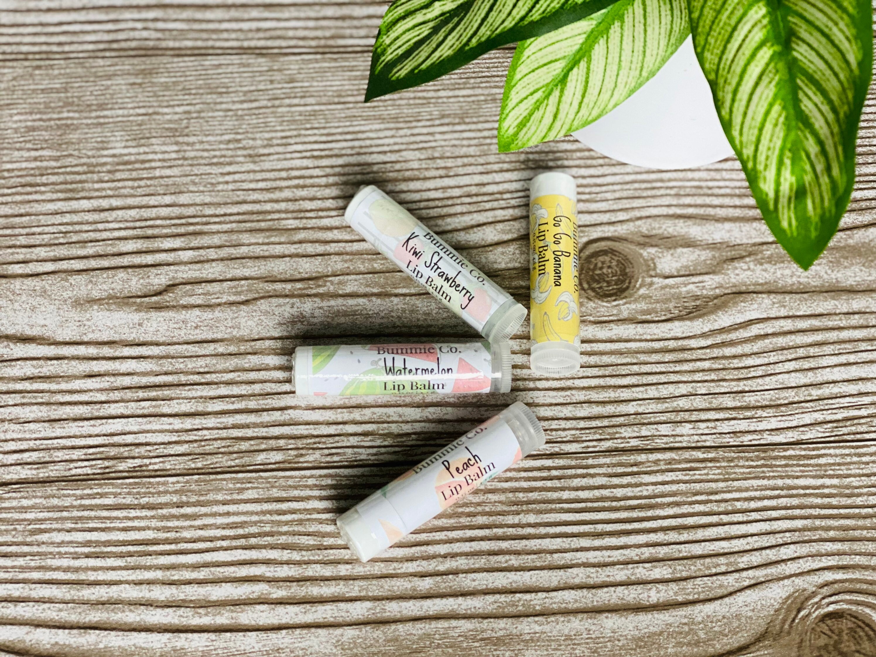 Lip Balm Bundle vitamin E moisturizer Lip balm handmade Etsy