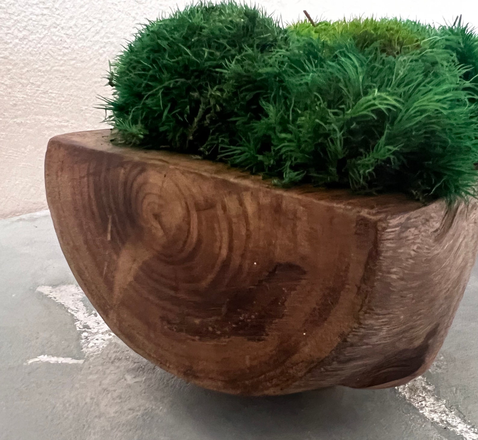 Preserved Moss Table Decor. Art Pots. Eco Table Decoration. Entryway Maintenance Free Moss