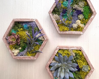 Set of three 5x6 inches Moss Wall Green wall art Preserved moss Plant wall decor Plant wall art Moss Wall Art Honeycomb Hexagon craft