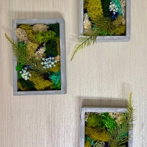 Set of 3 Moss Wall Decor Moss Wall Art Moss and faux plants