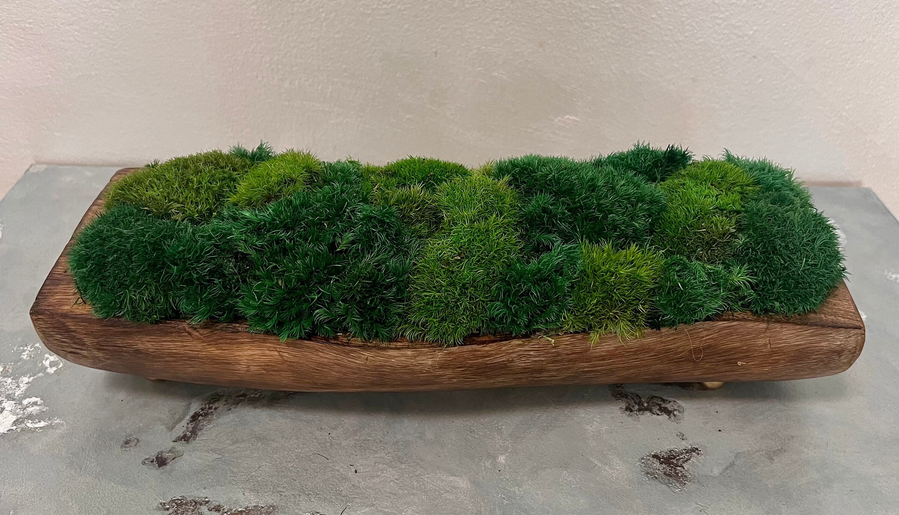 Preserved Moss Table Decor. Art Pots. Eco Table Decoration. Entryway Maintenance Free Moss