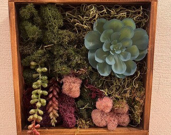 Preserved moss wall art
