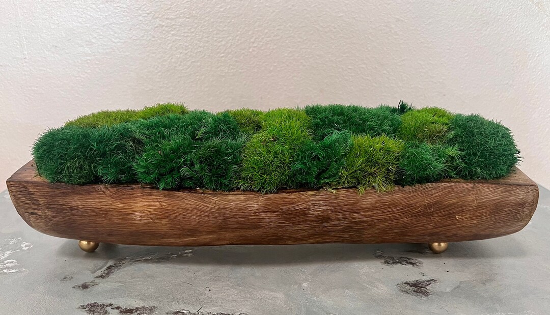 Preserved Moss Table Decor. Art Pots. Eco Table Decoration. Entryway Maintenance Free Moss