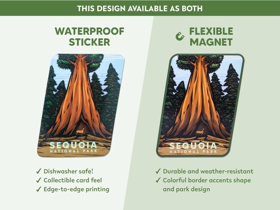 Sequoia National Park Magnet \u2014 Collectible Colorful & Waterproof! Sequoia National Park Magnet \u2014 Collectible Colorful & Waterproof!