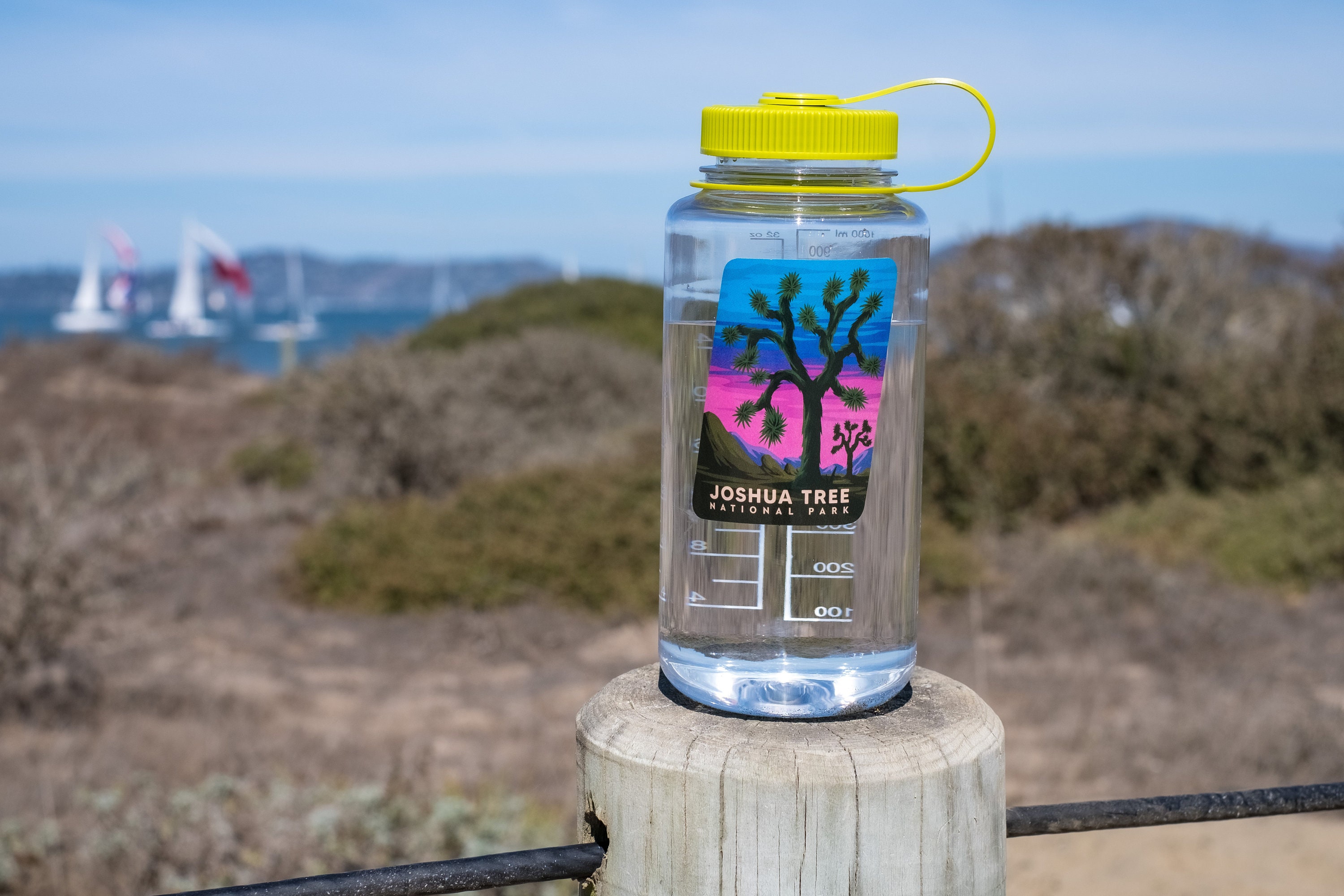 Joshua Tree National Park Sticker Waterproof, Collectible & Unique