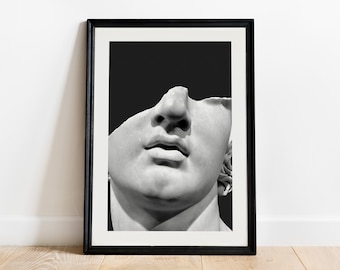 Fragmented Head Print, Ancient Greek History Wall Decor, Alexander the Great Poster, Giclée Museum Photography, Youth Statue Bust Detail