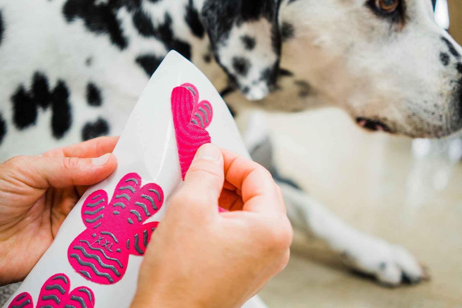 Lightweight Dog Paw Grips for Slippery Floors Indoor and Etsy
