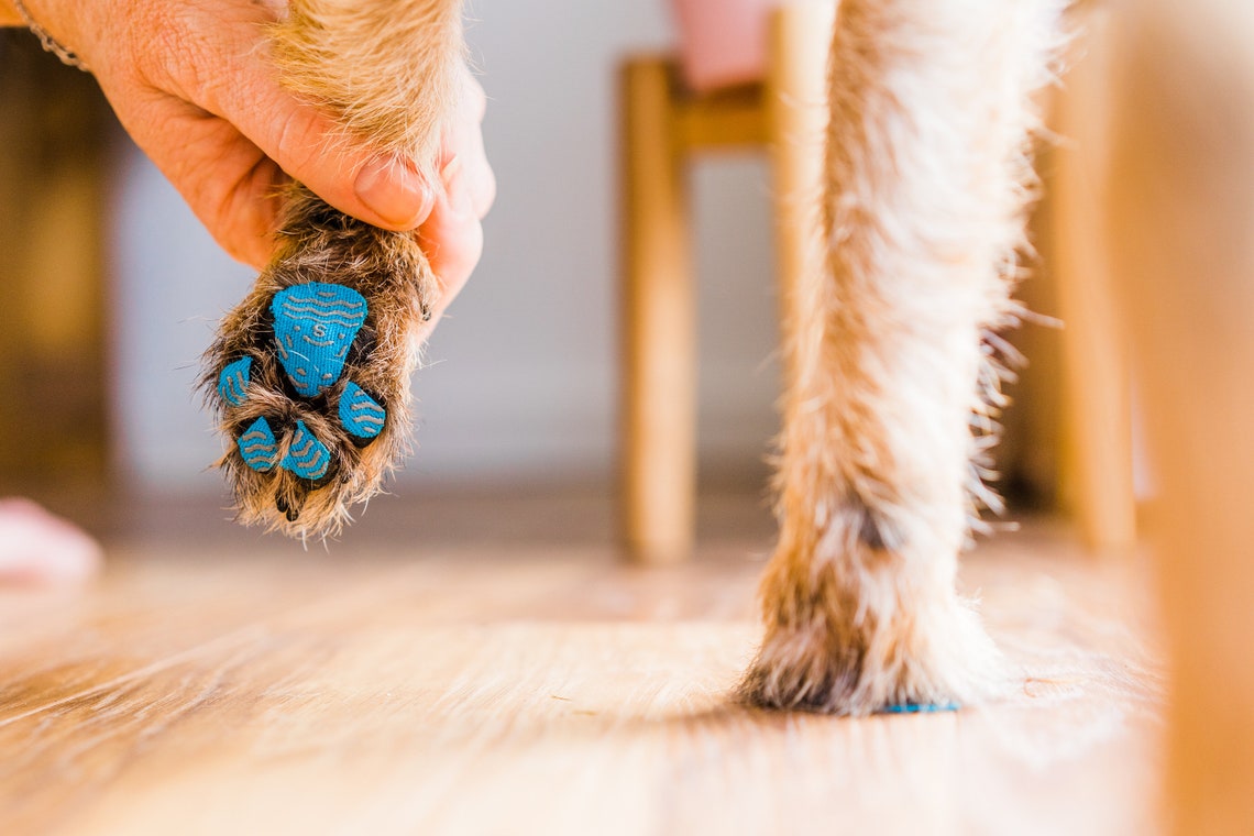 Lightweight Dog Paw Grips for Slippery Floors Indoor and Etsy