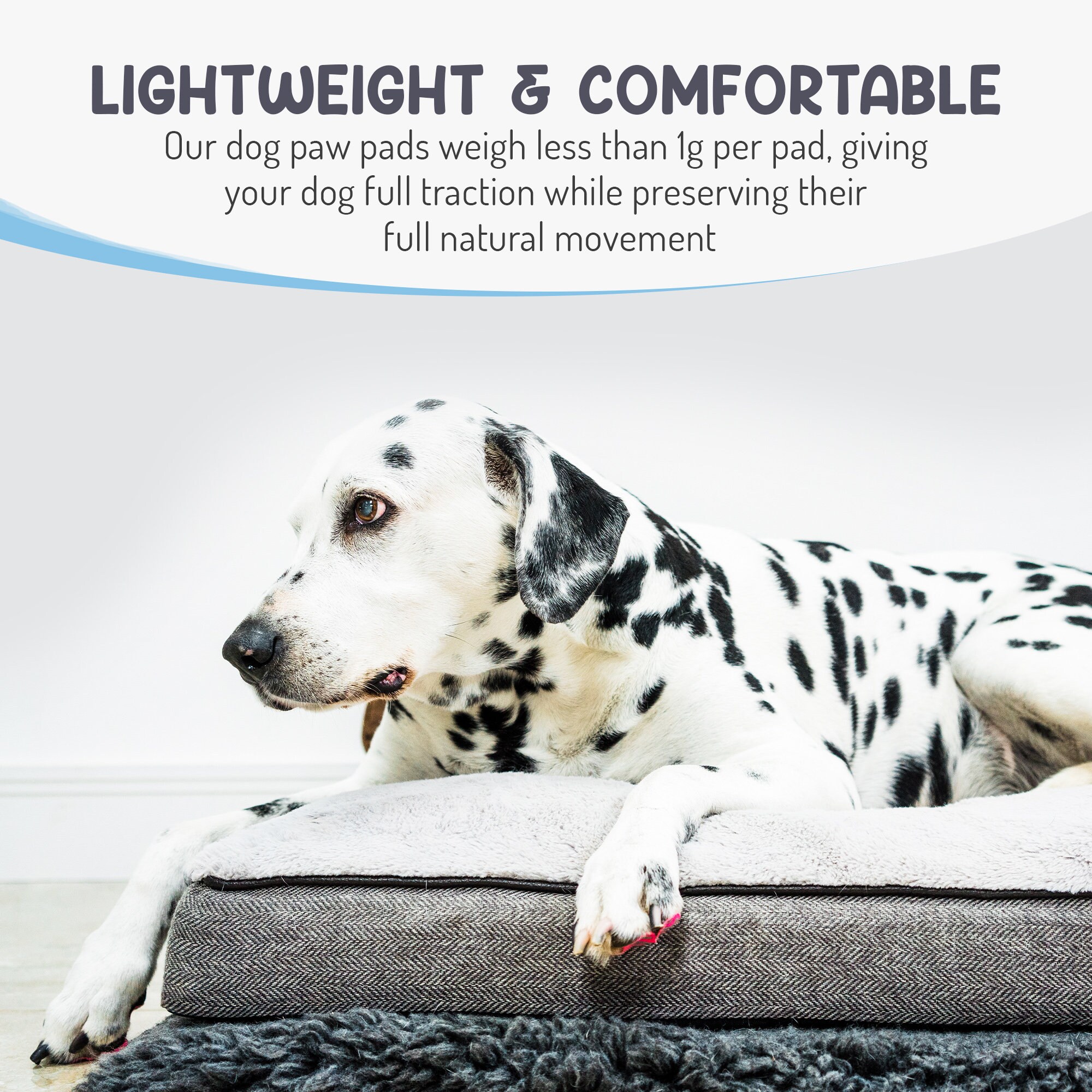 Lightweight Dog Paw Grips for Slippery Floors Indoor and Etsy