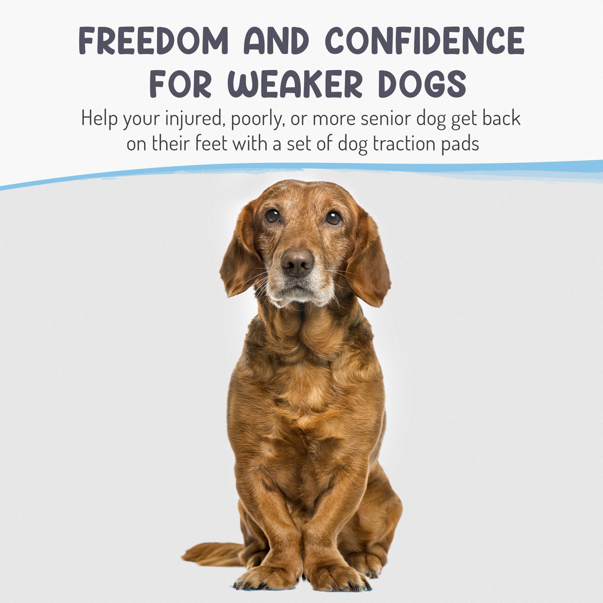 Lightweight Dog Paw Grips for Slippery Floors Indoor and Etsy