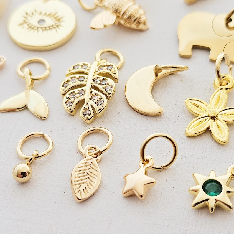 Charms vergoldet kleine Anhänger für Creolen Armbänder Eiffelturm Pilz böser Blick Seestern gold Blatt Süßwasserperle Muschel Tropfen Münze